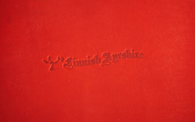 concept image4